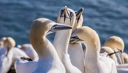 开云娱乐app安全登录指南：畅享极致娱乐体验